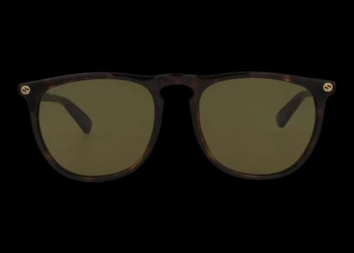 Gucci Round Frame Acetate Sunglasses Shiny Dark Havana (GG0120S-30001523-002-20296)