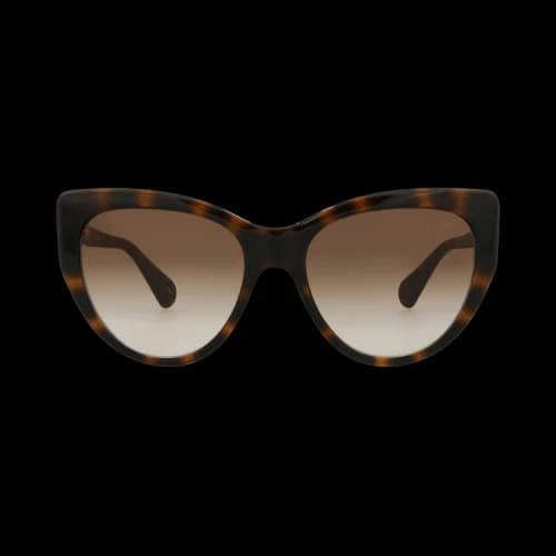 Gucci Cat Eye Sunglasses Havana/Havana/Brown (GG0877S-30010262-002)