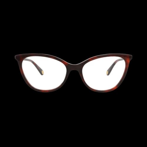 Gucci Cat Eye-Frame Acetate Optical Frames Havana Havana Transparent (GG1079O-30012800-002)