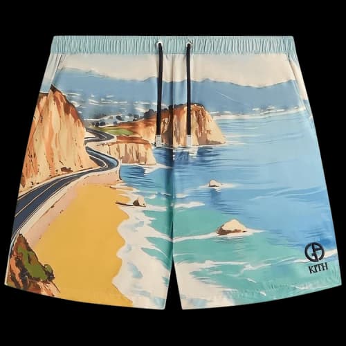 Kith x Giorgio Armani Malibu Collins Swim Short 'Multi'