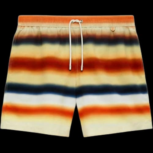 LOEWE SS26 Swimming Shorts Men's