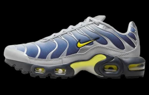 Nike Air Max Plus Obsidian Silver (GS)