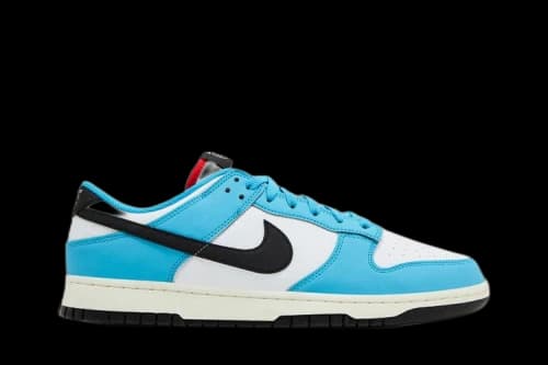Nike Dunk Low Next Nature N7 Dark Turquoise