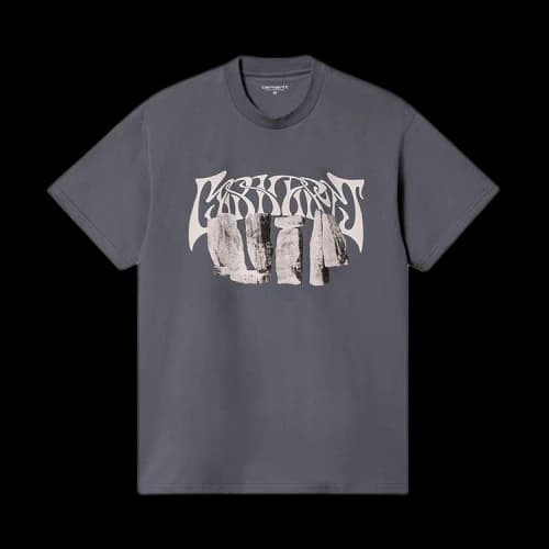 Carhartt WIP Pagan T-Shirt 'Zeus/Grey'