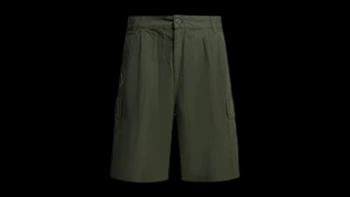 Carhartt Cole Cargo Shorts Green