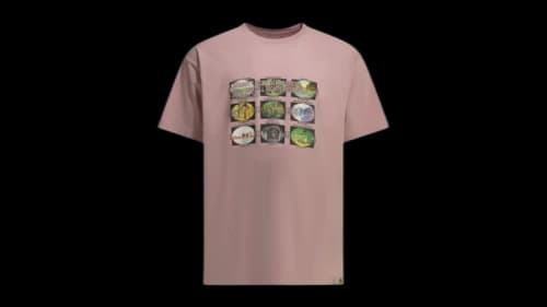 Carhartt Coordinates Crewneck T-shirt Pink