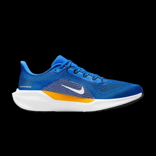 Nike Air Zoom Pegasus 41 Los Angeles Chargers (2025)