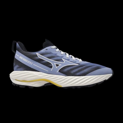 Mizuno Wave Rider GORE-TEX 2 'Blue Black' (Women's)