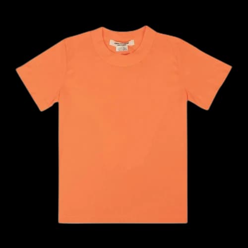 Junya Watanabe Short-Sleeve T-Shirt 'Neon Orange'