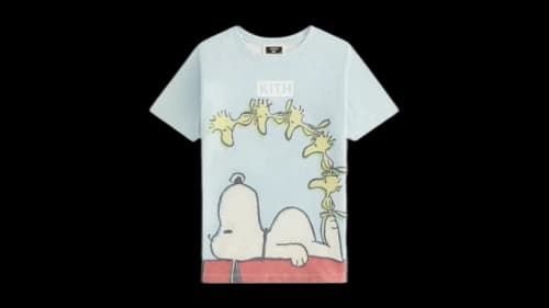 Kith x Peanuts Kids Woodstock Doghouse Vintage Tee Glisten