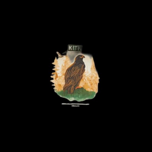 Kith For Columbia Eagle Illustration Vintage Tee 'History'
