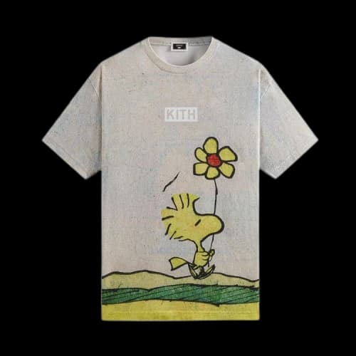 Kith For Peanuts Woodstock Comic Vintage Tee 'Chalk'