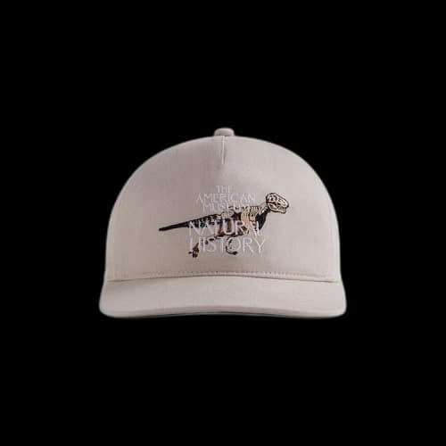 Kith For AMNH Fossil Cap 'Hallow'