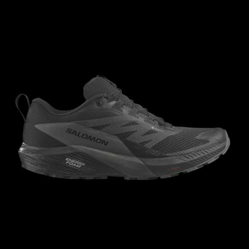 Salomon Sense Ride 5 GORE-TEX 'Black Magnet'