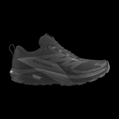 Salomon Sense Ride 5 GORE-TEX 'Black Magnet' (Women's)