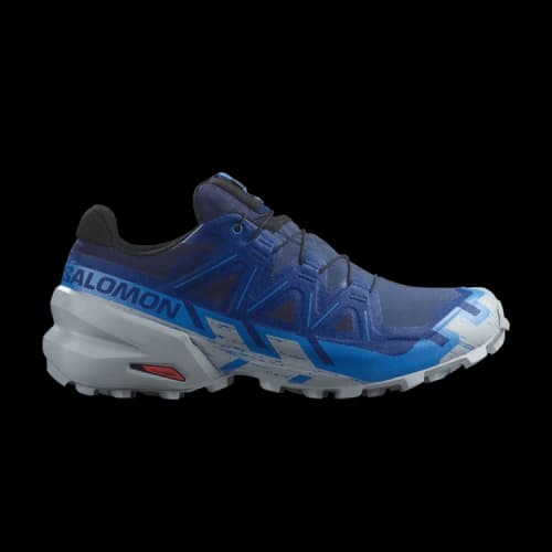 Salomon Speedcross 6 GORE-TEX 'Blueprint Quarry'