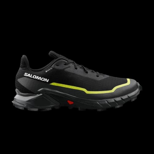 Salomon Alphacross 5 GORE-TEX 'Black Peat Sulphur'