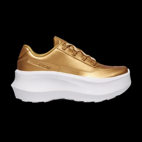 Salomon Comme des Garçons Homme Plus x SR811 'Gold'