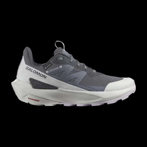 Salomon Elixir Activ Gore-Tex India Ink Glacier Grey Orchid Petal (Women's)