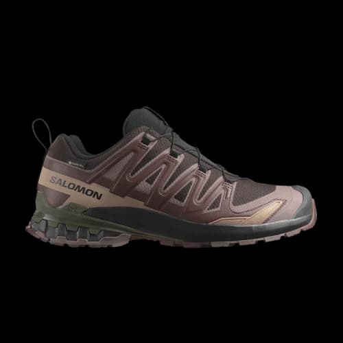 Salomon XA Pro 3D V9 GORE-TEX 'Rum Raisin'