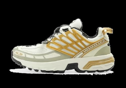 Salomon Acs Pro Gore-Tex Antelope Tea