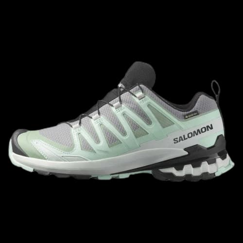 Salomon XA Pro 3D V9 GORE-TEX 'Quiet Shade' (Women's)