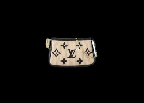 Louis Vuitton Mini Pochette Accessoires Black
