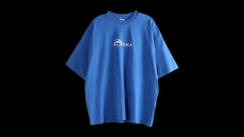 Vetements Alaska Tourist T-shirt Blue