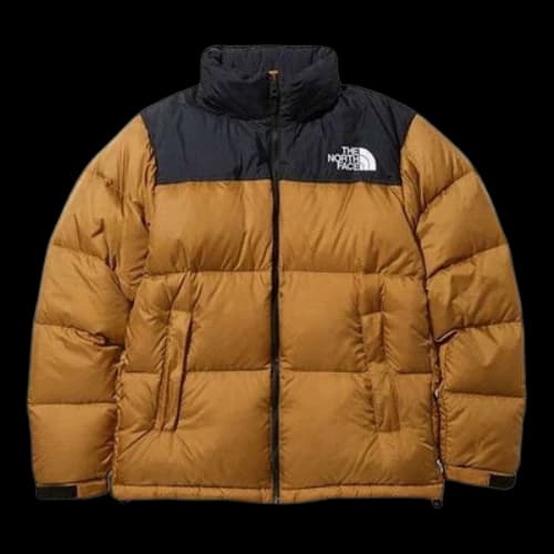 THE NORTH FACE Nuptse Jacket 'Brown'