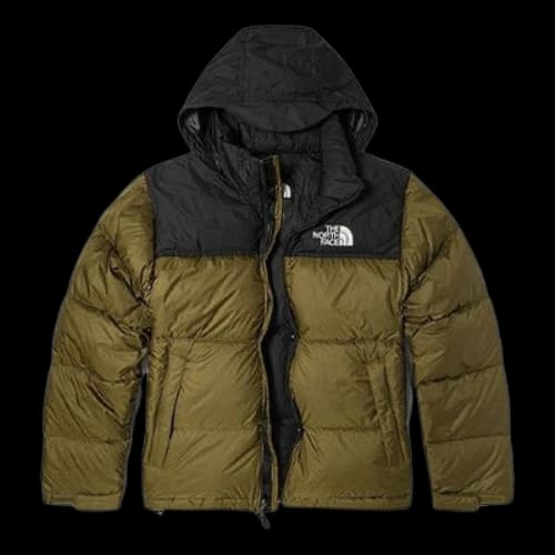 THE NORTH FACE 1996 Retro Nuptse 700
