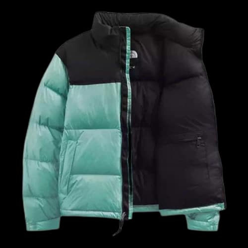 THE NORTH FACE 1996 Retro Nuptse SS22 700