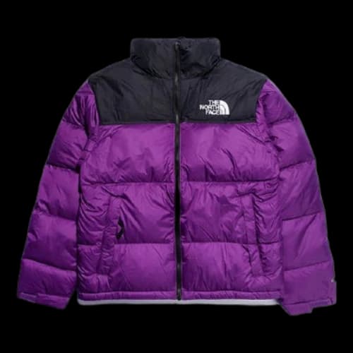 THE NORTH FACE 1996 Nuptse 700 Jacket 'Purple'