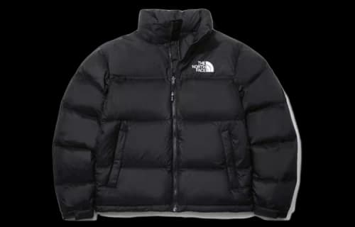 THE NORTH FACE 1996 Nuptse 700 Jacket 'Black'