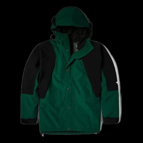 THE NORTH FACE Retro Mountain Light Futurelight Jacket 'Green'