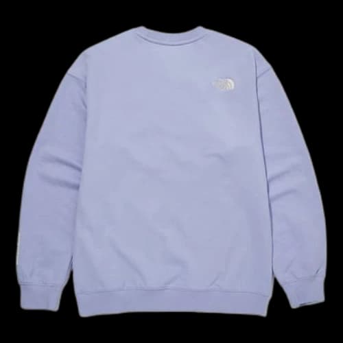 THE NORTH FACE Box Logo Short Sleeve Unisex Blue T-Shirt