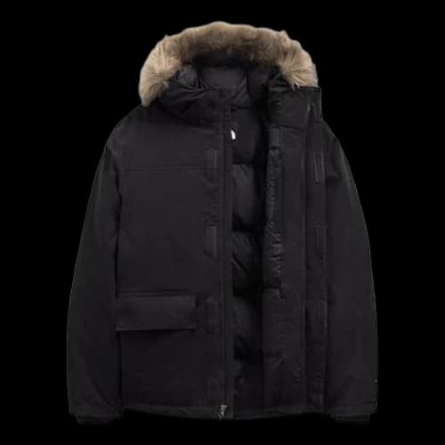 THE NORTH FACE Arctic Parka Jacket 'Black'