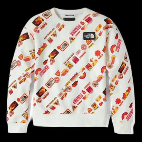 THE NORTH FACE Vanlife Logo Sweater 'White' (Women's)