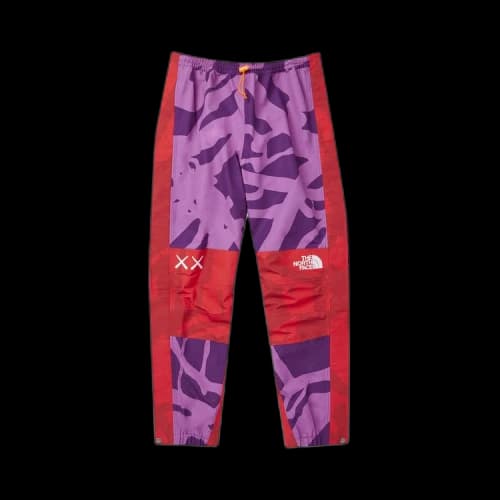 The North Face x KAWS Mountain Light Pant 'Pamplona Purple'