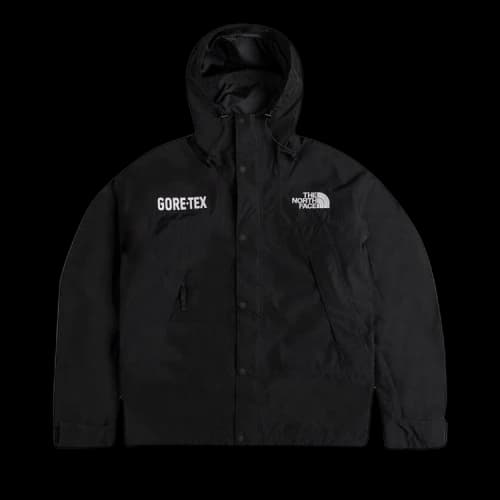 The North Face GTX Mountain Jacket 'TNF Black'