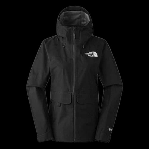 THE NORTH FACE Devils Brook Gore Tex Jacket 'Black' (Women's)