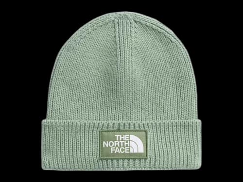 The North Face TNF Logo Box Cuffed Beanie Slate Moss/Bark Mist