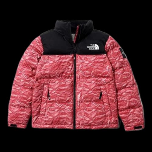 THE NORTH FACE Novelty Nuptse
