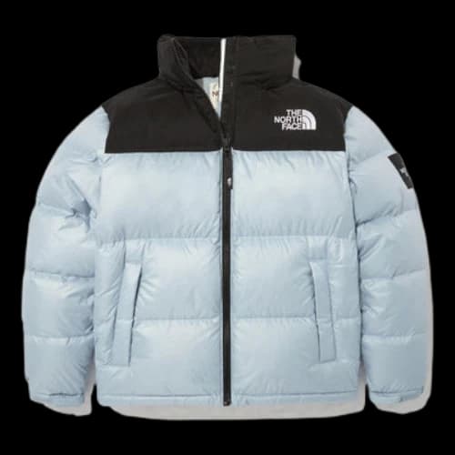 THE NORTH FACE NOVELTY Nuptse Jacket SKY BLUE