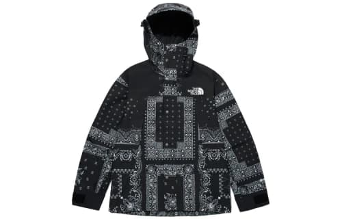 THE NORTH FACE Novelty Gore-Tex Mountain Jacket Asia Sizing 'Paisley Black'