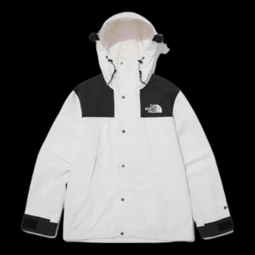 THE NORTH FACE Eco Gtx Mountain Jacket 'White'