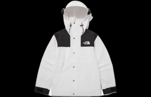 THE NORTH FACE Eco GTX Mountain Jacket 'White'