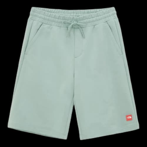 THE NORTH FACE Comfy Shorts 'Teal'