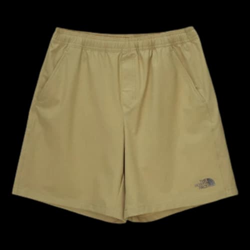 THE NORTH FACE Sportwear Shorts 'Brown'