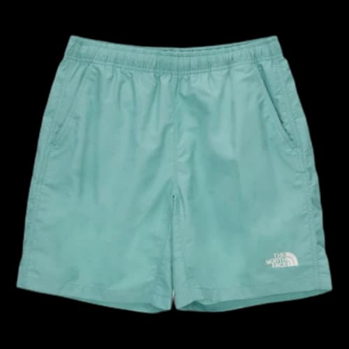 THE NORTH FACE SS22 Daily Essential Shorts 'Teal'