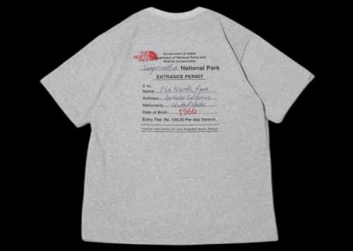 The North Face Entrance Permission Tee Mix Grey
